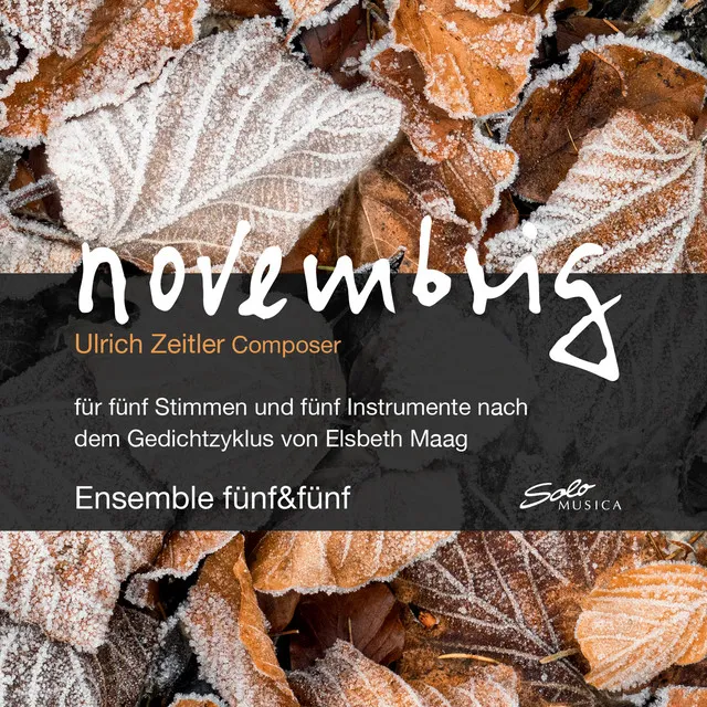 Novembrig: No. 8, Vom Jahr von der Zeit