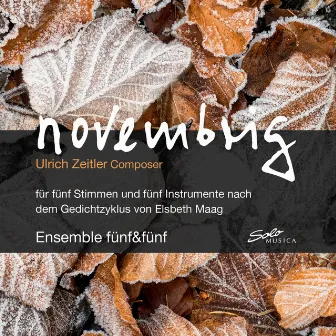 Ulrich Zeitler: Novembrig by Ulrich Zeitler