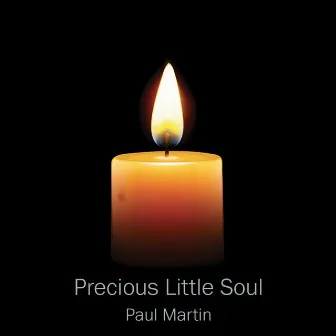 Precious Little Soul by Paul Martin