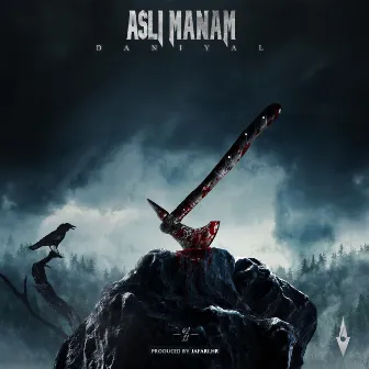 Asli Manam by Jafari HR