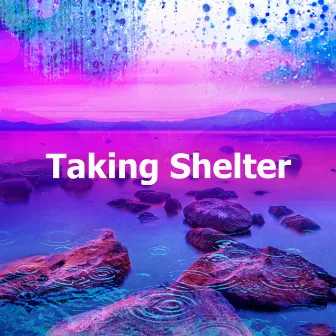 Taking Shelter by 