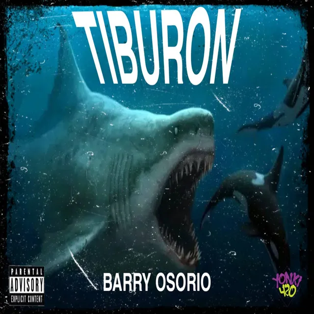 Tiburon