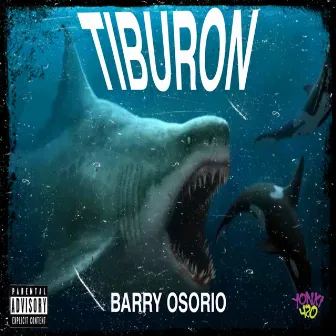 Tiburon by Barry Osorio