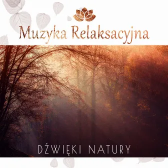 Muzyka Relaksacyjna: Dźwięki Natury – Szum Fal, Śpiew Ptaków, Spokojna Muzyka New Age do Jogi, Czytania, Zasypiania, Medytacji, Na Stres by Strefa Relaksacyjnej Muzyki