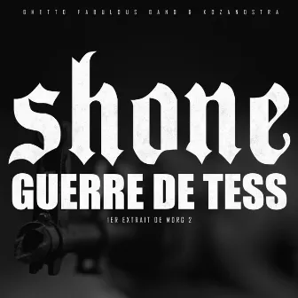 Guerre de tess by SHONE