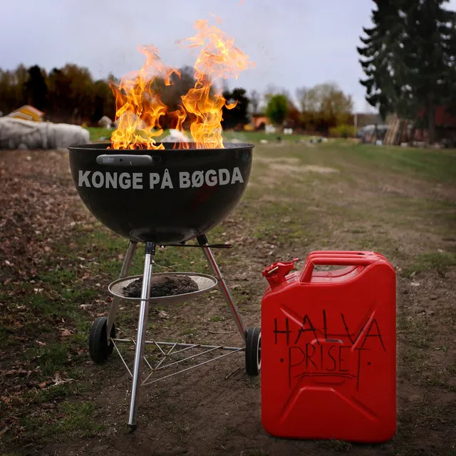 Konge på bøgda