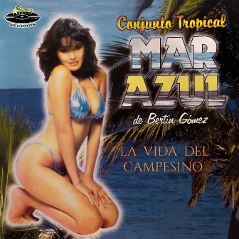 La Vida del Campesino by Conjunto Tropical Mar Azul