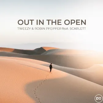 Out in the Open by Robin Pfeiffer