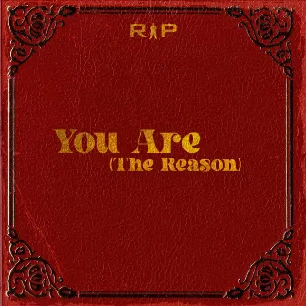 You Are (The Reason) [Radio Edit] by Rip