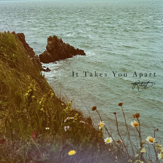 It Takes You Apart