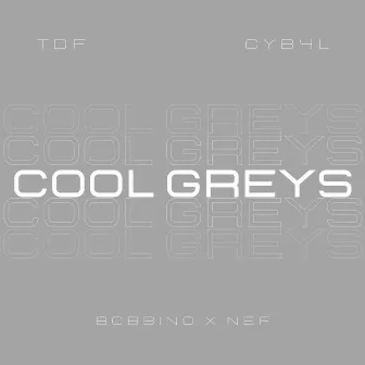 Cool Greys by Bobbino