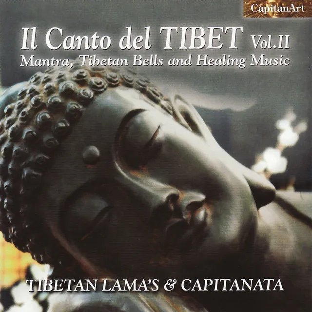 Il canto del Tibet vol.II