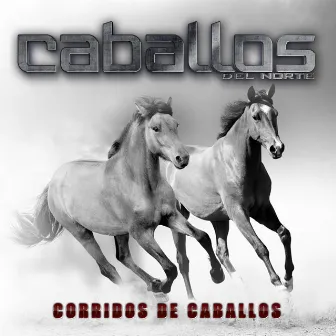 Corridos de Caballos by Caballos Del Norte