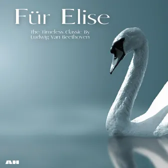 Für Elise by Fur Elise