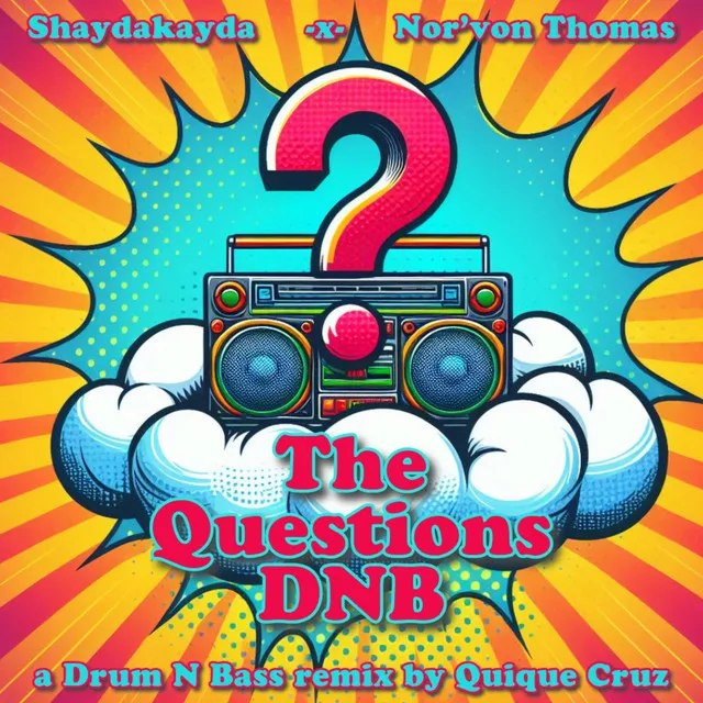 The Questions DNB