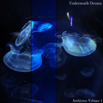 Ambience, Vol. 1 by Underneath Oceans