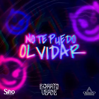 No Te Puedo Olvidar by BARRIO VERDE