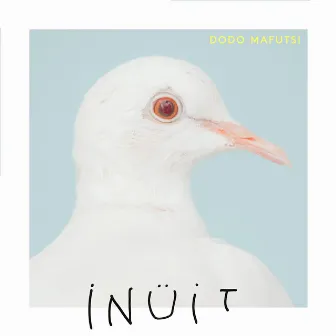 Dodo Mafutsi - Single by Inüit