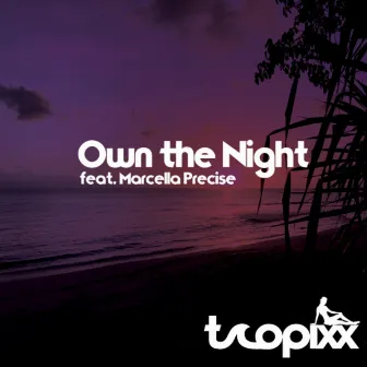 Own the Night by Tropixx