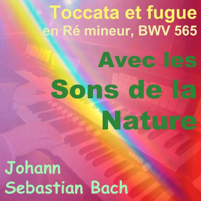 Toccata et fugue in D Minor, BWV 565 - Dans le vent Version