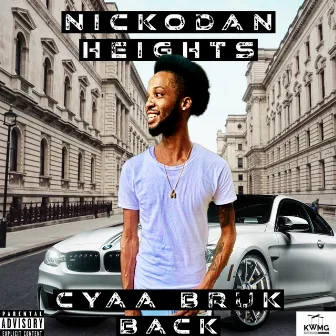 Cyaa Bruk Back by Nickodan