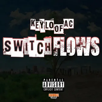 Switch Flows by Keyloofac