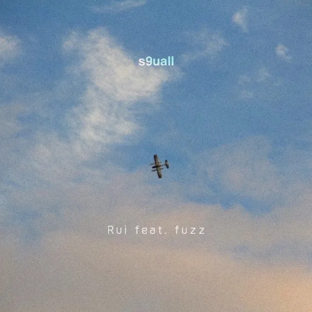 s9uall (feat. fuzz)