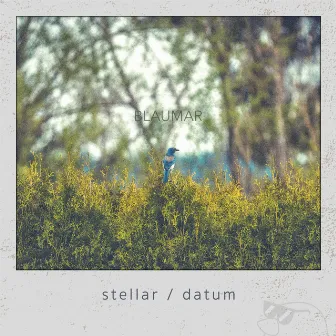 Stellar / Datum by Blaumar