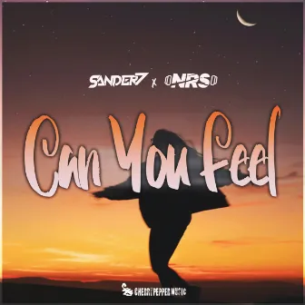 Can You Feel by NRS