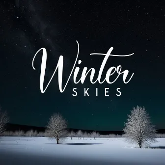 Winter Skies: Meditative Winter Nights of Calmness by Winter Night Music Universe