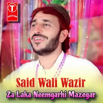 Za Laka Neemgarhi Mazegar by Said Wali Wazir