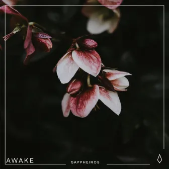 Awake by Sappheiros