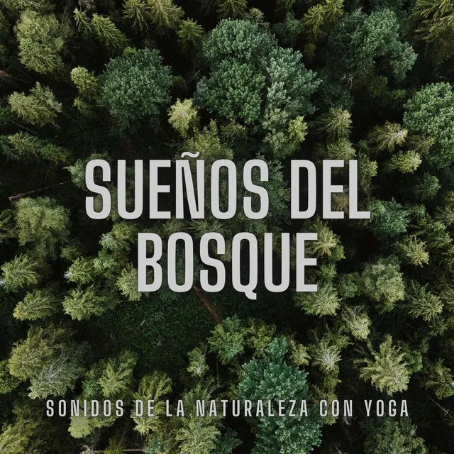 Sueños del Bosque: Sonidos de la Naturaleza con Yoga