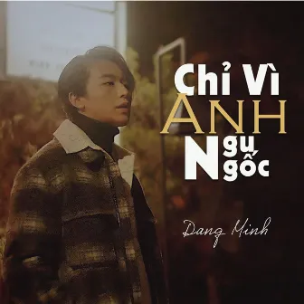 Chỉ Vì Anh Ngu Ngốc by Đặng Minh