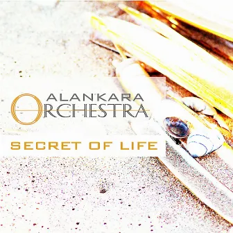 Secret of Life (Alankara Orchestra) by Alankara