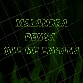 Malandra,pensa Que Me Engana by LG SHEIK