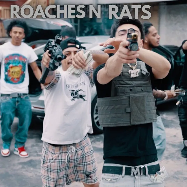 Roaches n Rats