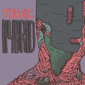 Hybrid by TRIAC