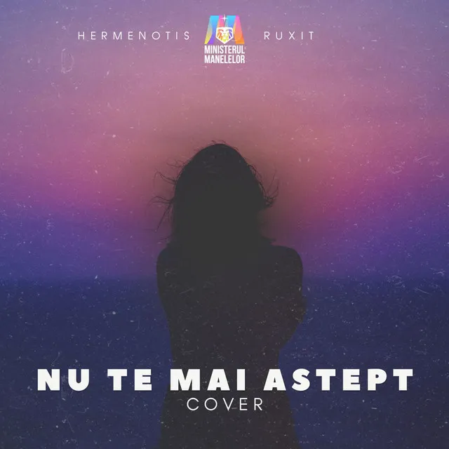 Nu te mai aștept - Cover