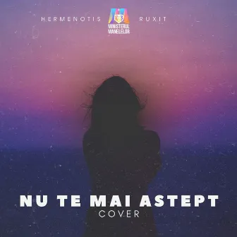 Nu te mai aștept (Cover) by Ruxit