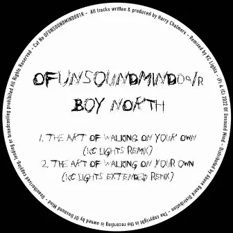 The Art of Walking on Your Own / Never Felt This Way by Boy North