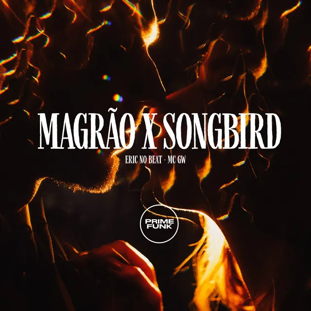 Magrão X Songbird