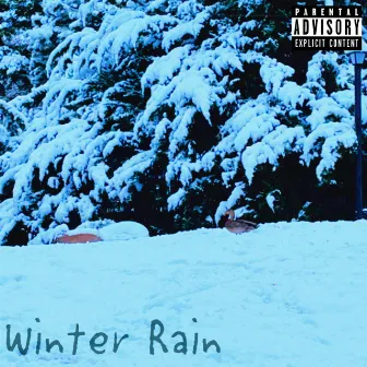 Winter Rain by Motion