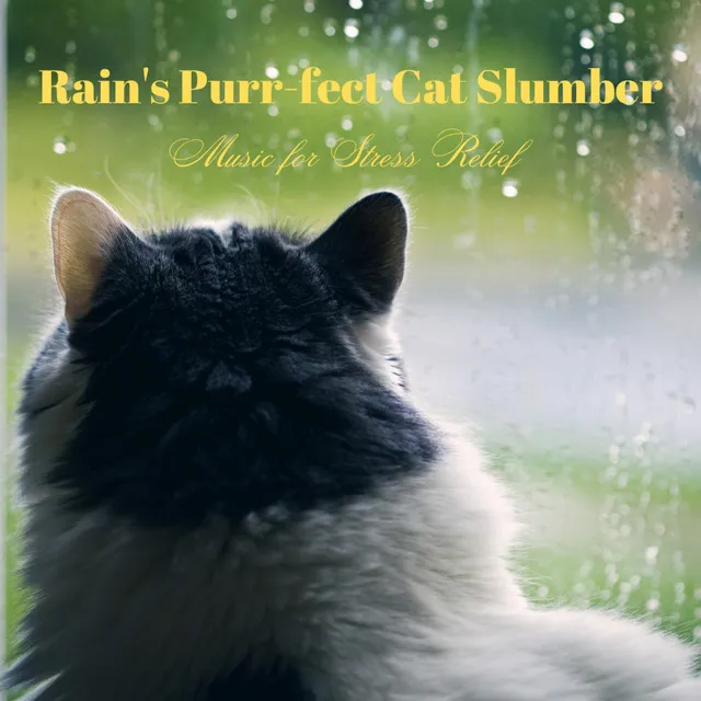 Rain's Purr-fect Cat Slumber: Music for Stress Relief