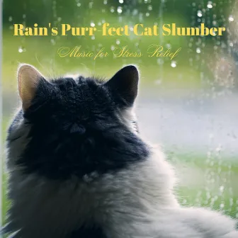 Rain's Purr-fect Cat Slumber: Music for Stress Relief by RAIN_IFY