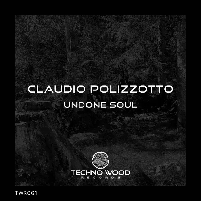 Undone Soul - Original Mix