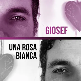 UNA ROSA BIANCA by Giosef