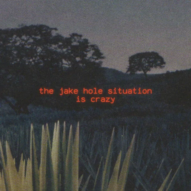 Jake Hole Situation is Crazy