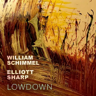 Lowdown by William Schimmel