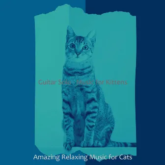 Guitar Solo - Music for Kittens by Amazing Relaxing Music for Cats